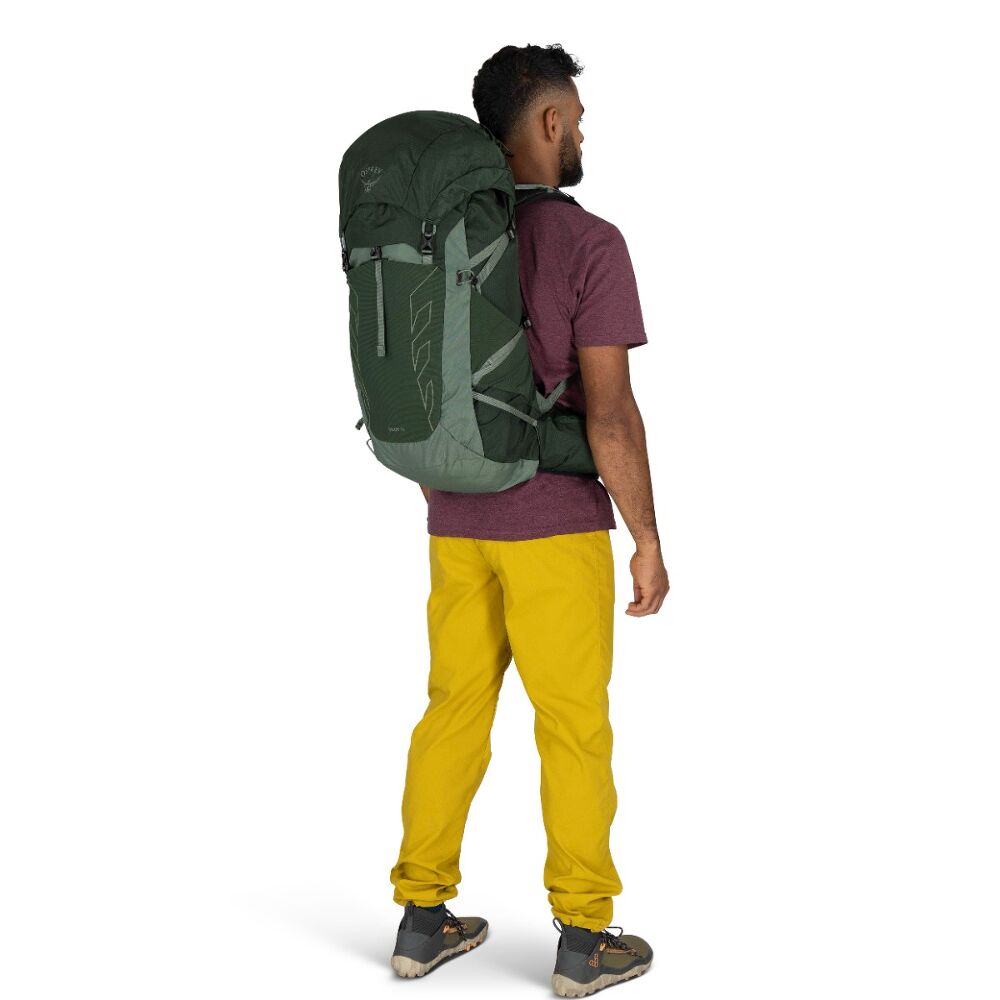 Osprey Talon™ 33 GREEN CANOPY PINE LEAF